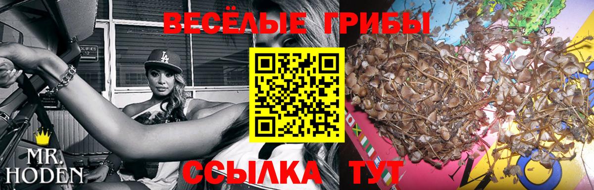 Балабаново  Галлюциногенные грибы мухоморы  Вход с VPN 