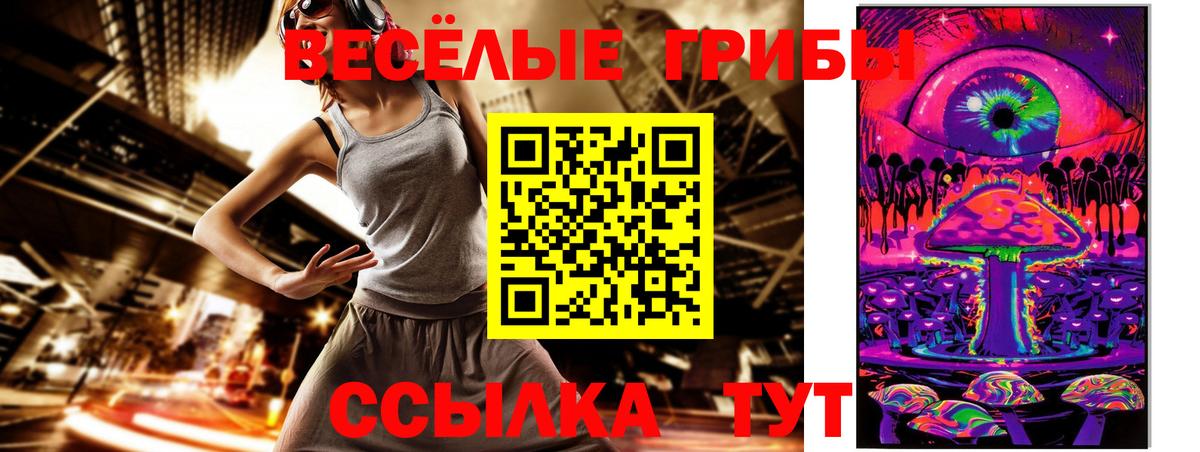 Псилоцибиновые грибы Cubensis Балабаново